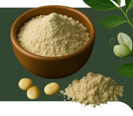 Farine de pois thermisée riche en protéines