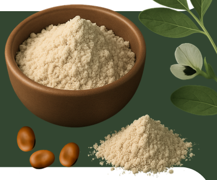 fevererole_riche_proteines Farine de féveroles thermisée riche en protéines